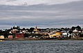 DSC_1260.JPG