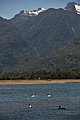 DSC_0256.JPG