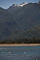 DSC_0265.JPG