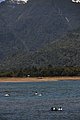 DSC_0266.JPG