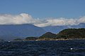 DSC_9890.JPG