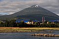 DSC_9938.JPG