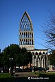 IMG_3199.jpg