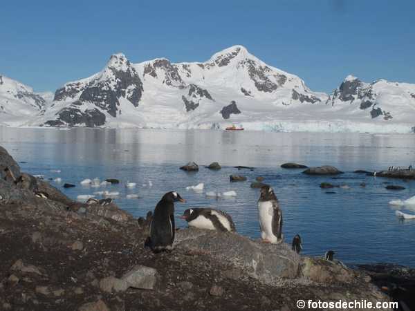 antartica-8.jpg
