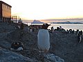 antartica-16.jpg