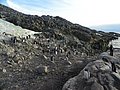antartica-24. Sub Base Yelcho, Bahía South.jpg