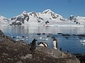 antartica-8.jpg