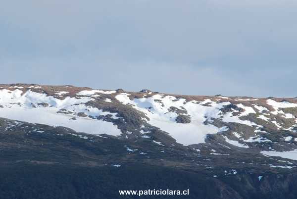 dsc_01470147.JPG
