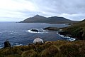 DSC_0080.JPG