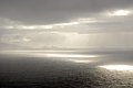 DSC_0349.JPG
