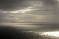 DSC_0350.JPG