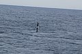 dsc_00400040.JPG