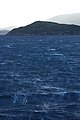 dsc_01320132.JPG