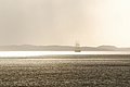 dsc_01640164.JPG