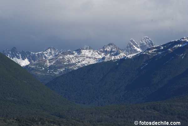 DSC_0013.JPG