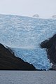 DSC_0117.jpg