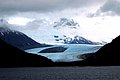 DSC_0429.JPG