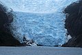 DSC_0464.JPG