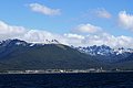 dsc4008.JPG