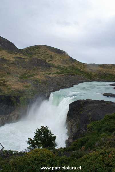 DSC_0226.JPG