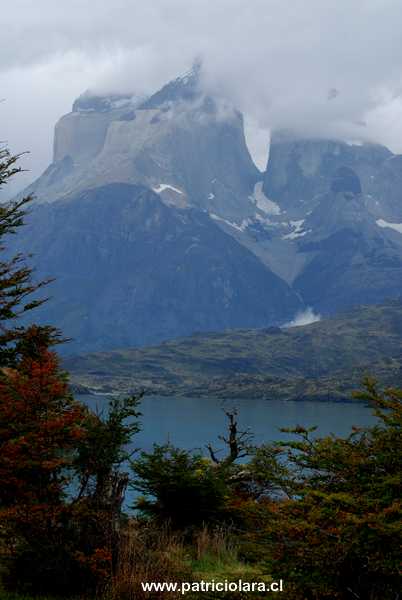 DSC_1194.JPG