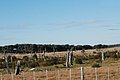 DSC_0013.JPG