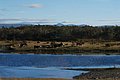 DSC_0022.JPG