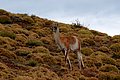 DSC_0163.JPG