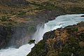 DSC_0223.JPG