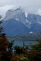 DSC_1194.JPG
