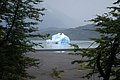 DSC_1282.JPG