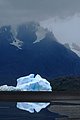 DSC_1299.JPG