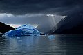 DSC_1316.JPG