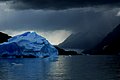 DSC_1325.JPG