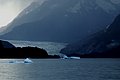 DSC_1342.JPG