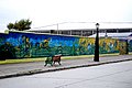 DSC_1420.JPG