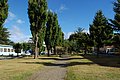 DSC_0010.JPG