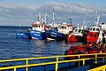 DSC_0095.JPG