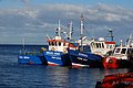 DSC_0097.JPG