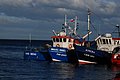 DSC_0119.JPG