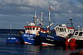 DSC_0123.JPG