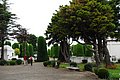 DSC_0182.JPG