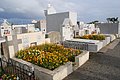 DSC_0210.JPG