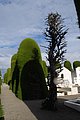 DSC_0211.JPG