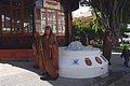 DSC_0236.JPG