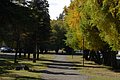 DSC_0376.JPG