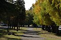 DSC_0377.JPG