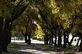 DSC_0379.JPG
