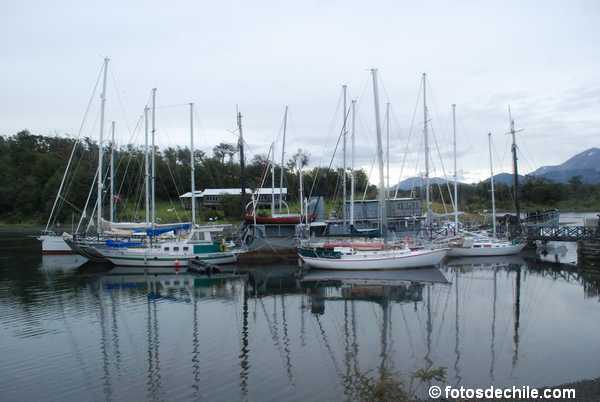 DSC_0305.JPG