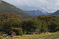 DSC_0077.jpg